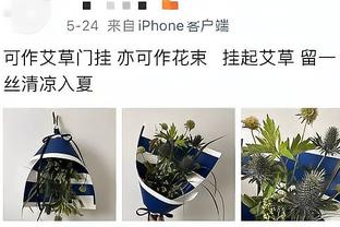 忍无可忍！切尔西球迷官媒刷屏：解雇波切蒂诺，兰帕德都比他好